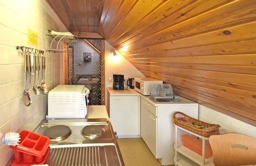 Frauenwald Apartment | Serene Stay with Garden