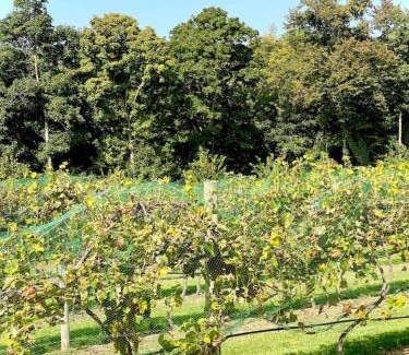 Hartsburg House | Serenity House Retreat Near MKT