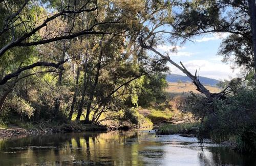 Mole River Other | Serenity Ranch