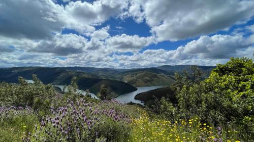 Pampilhosa da Serra House | Serradinho Country House