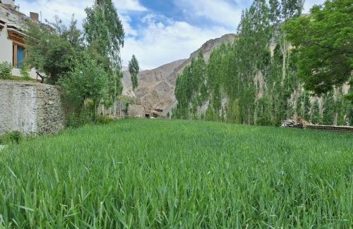 Tingmosgang Bed & Breakfast | Shanglang Guest House Ladakh by LexStays