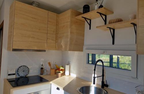 Azoia Other | Shanti Farm Meco