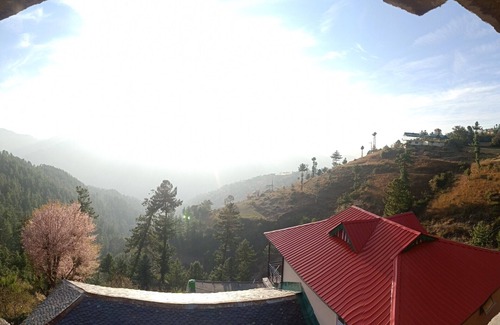 Shimla Apartment | Shanti jungle cottages.A perfect home to stay in Shimla in very reasonable price