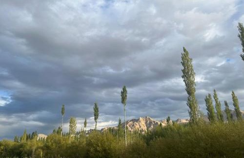 She Apartment | Shashi Guesthouse