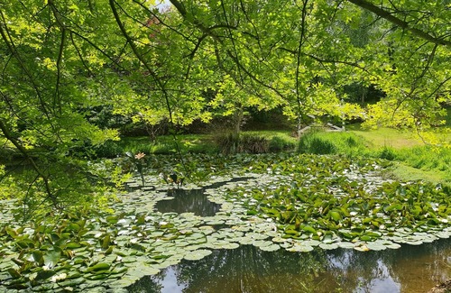 Sheffield Apartment | Sheffield Dome set in an Enchanting Garden