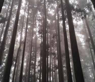 Karsiyang House | Sherpa's Homestay