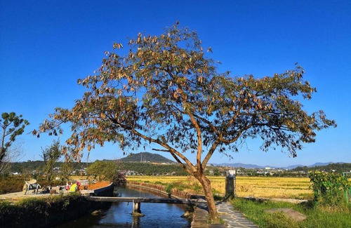 Heshun Hotel | Shuxi Heritage Hotel