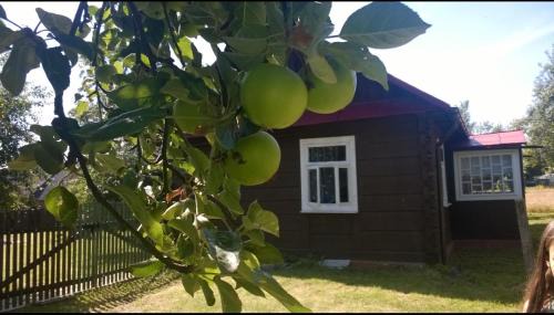 gmina Sułow House | Sielski Kulików