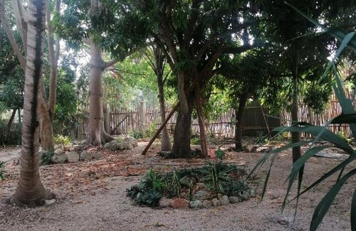 Calderitas Other | Silar Amix