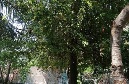 Calderitas Other | Silar Amix