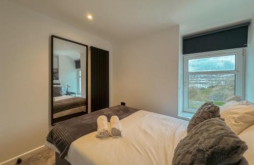 Dowlais House | Silver Birch - Dowlais