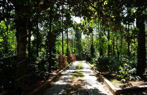 Chikkamagaluru House | Silver springs Homestay Chickmagalur