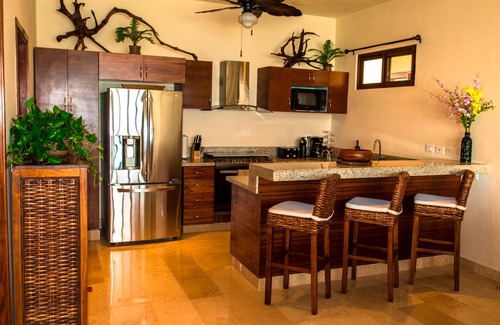 Akumal Condo | Simply Akumal's Best! Luxury Beachfront Penthouse w/Infinity Pool, Rooftop.