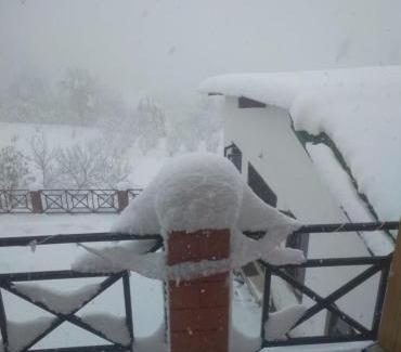 Mukteshwar Villa | Sky touch cottage & stays