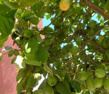 Bollullos de la Mitacion Apartment | Skydiversnestdotcom