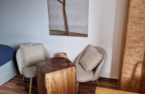 Striesen House | Small but Fine Double Room with Shared Terrace, Shared Garden and Wi-Fi