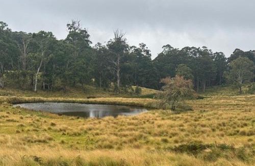 Niangala Villa | Smokey Cape Retreat