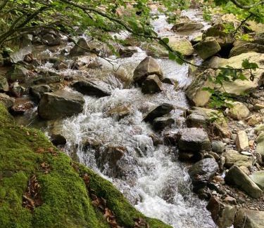 Beddgelert House | Snowdonia Holiday Lodges