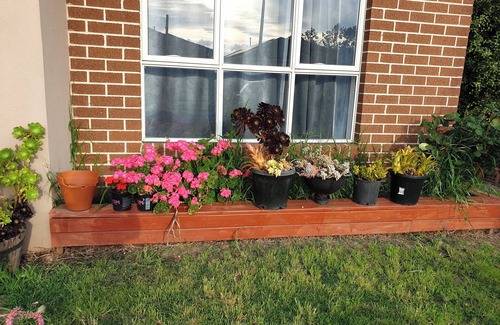 Officer House | Snug and cosy ensuite in a new house