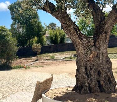 Sintra Bed & Breakfast | So Magoito