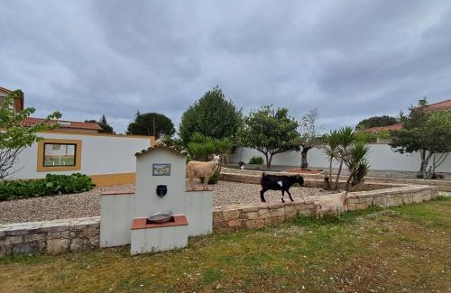 Fatima Apartment | Sol-Lua House apt