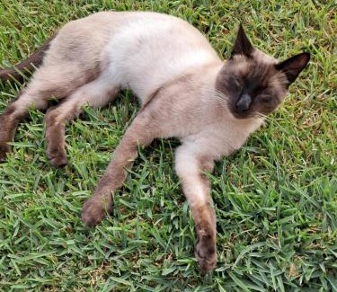 Fatima Apartment | Sol-Lua House apt