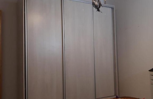 Perito Moreno Apartment | Sol y Luna 1