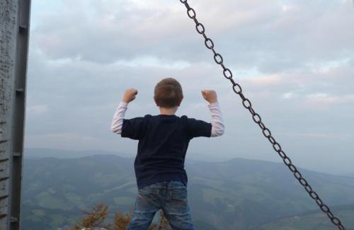 Sankt Kathrein am Offenegg House | Sommeralmhütte