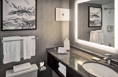 Atlanta Hotel | Sonesta Atlanta Northwest Galleria - Marietta