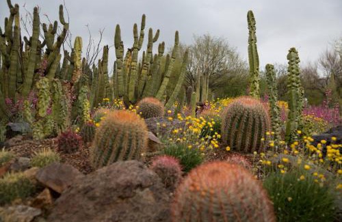 Continental Ranch House | Sonesta Tucson home