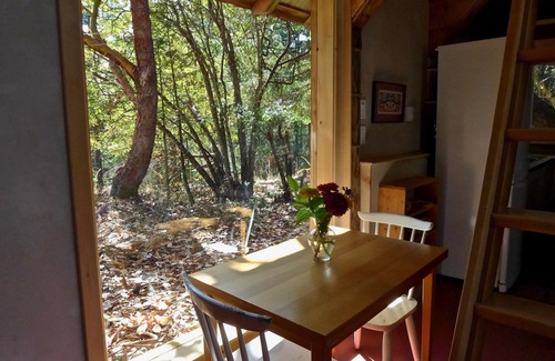 Salt Spring Island Cottage | South End Gem