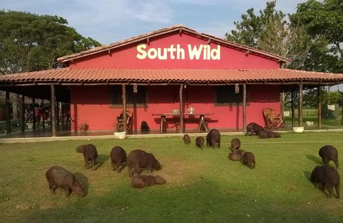 Pocone House | SouthWild Pantanal Lodge