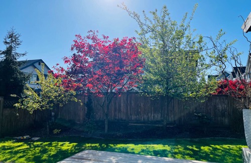 Willoughby House | Spacious 2-bedroom suite with 3 beds in Langley Willoughby