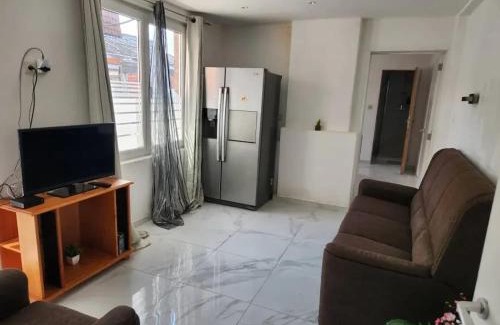 Laplaigne House | Spacious House in Brunehaut with Lake View