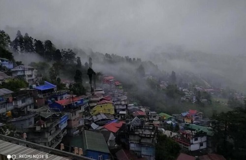 Darjeeling Apartment | Sparrow Nest Homestay: Where Comfort Takes Flight and Hospitality Singsn