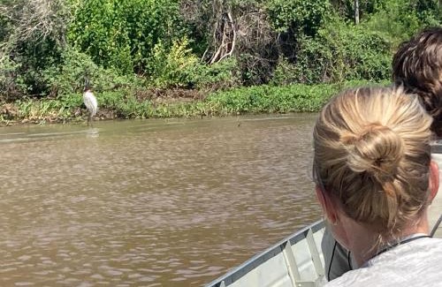 Nhecolandia Other | Spot Jaguar Pantanal South Camping Wild Jaguar Tour