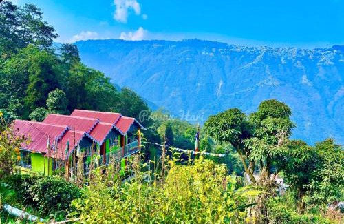 Lebong and Mineral Spring Tea Garden House | Springfeel Homestay