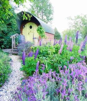 Springfield House | Springfield Cabin