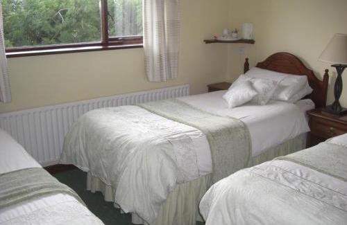 Clarinbridge Bed & Breakfast | Springlawn
