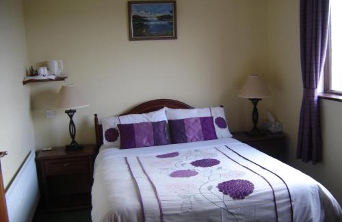 Clarinbridge Bed & Breakfast | Springlawn