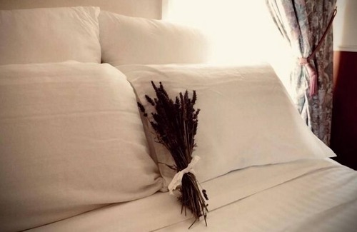 Cleveland Bed & Breakfast | St Andrews Inn