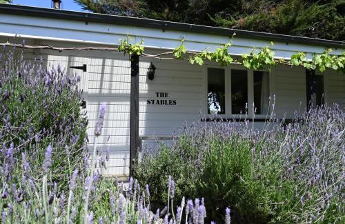 Springlands Bed & Breakfast | St Leonards Vineyard Cottages
