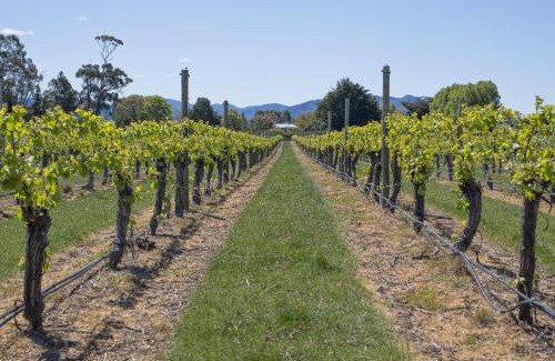 Springlands Bed & Breakfast | St Leonards Vineyard Cottages