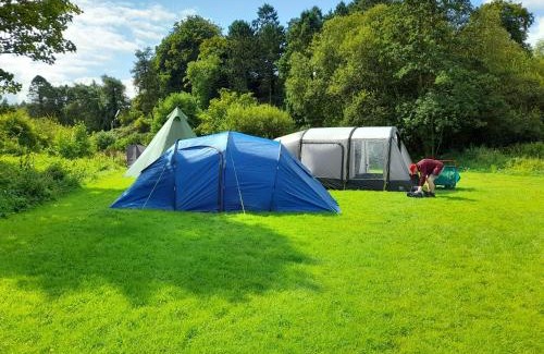 Glynn Other | St Mullins Natural Camping