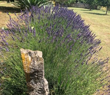 Marasi Villa | Stancieta Ulrihi