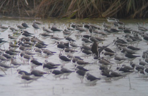 Jiaoxi Bed & Breakfast | Star Shine B&B