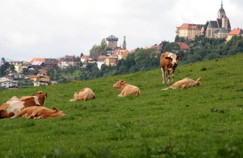 Guttaring Apartment | Staudachhof