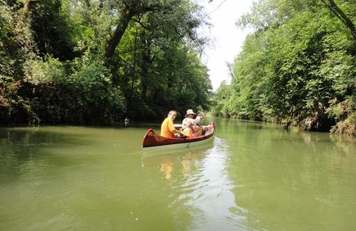 Oberriet House | Steigmatt Bauernhof- Erlebnis