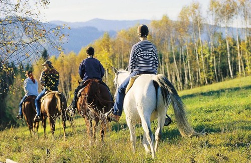 St. Peter am Ottersbach Apartment | Steirerloft