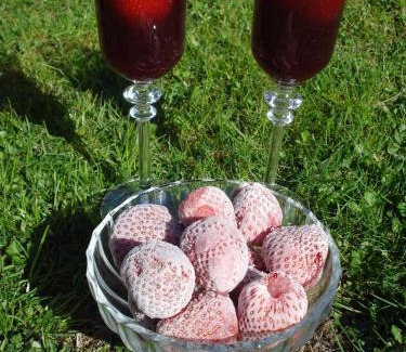 St. Peter-Ording Apartment | Sternschnuppe